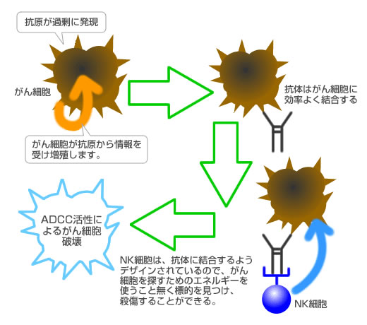 図