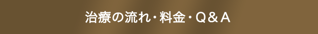 治療の流れ・料金・Ｑ＆Ａ