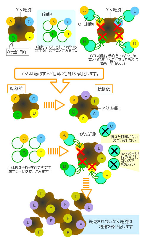 図